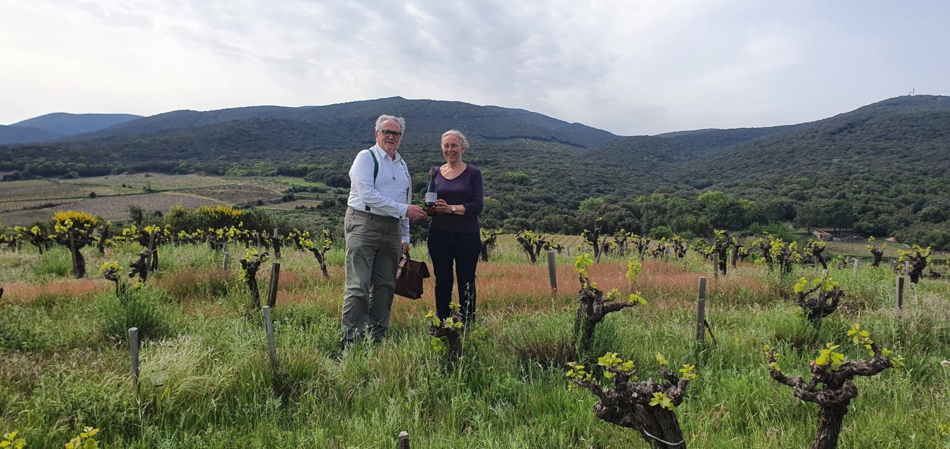 Au domaine de Cébène