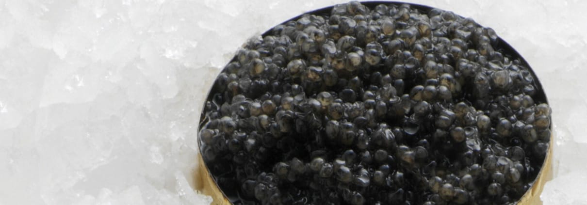 Caviar noir dans un bol sur lit de glace